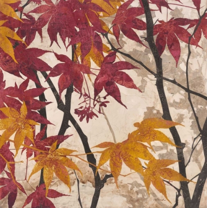 Picture of MAPLE STORY 2 