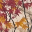 Picture of MAPLE STORY 2 
