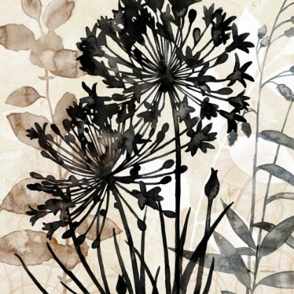 Picture of NATURAL BOTANICAL 2