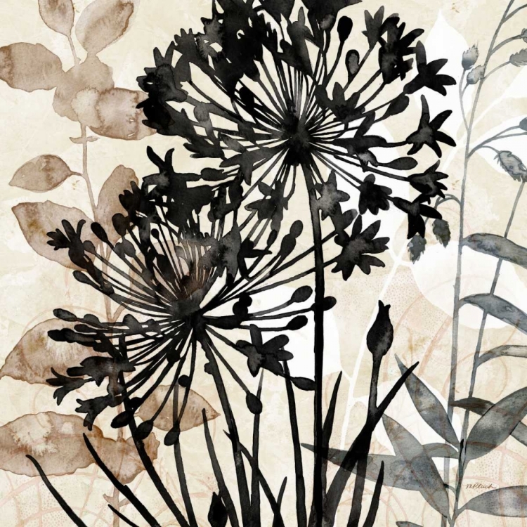 Picture of NATURAL BOTANICAL 2
