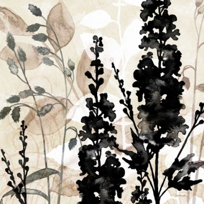 Picture of NATURAL BOTANICAL 3