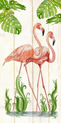 Picture of FLAMINGO STROLL 1