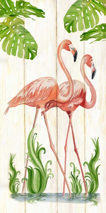 Picture of FLAMINGO STROLL 1