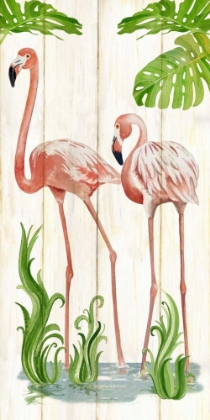 Picture of FLAMINGO STROLL 2