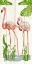 Picture of FLAMINGO STROLL 2