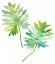 Picture of WATERCOLOR TROPICAL 2
