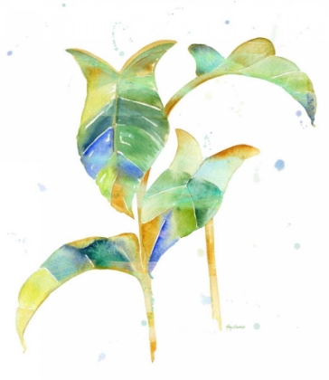 Picture of WATERCOLOUR TROPICAL 4
