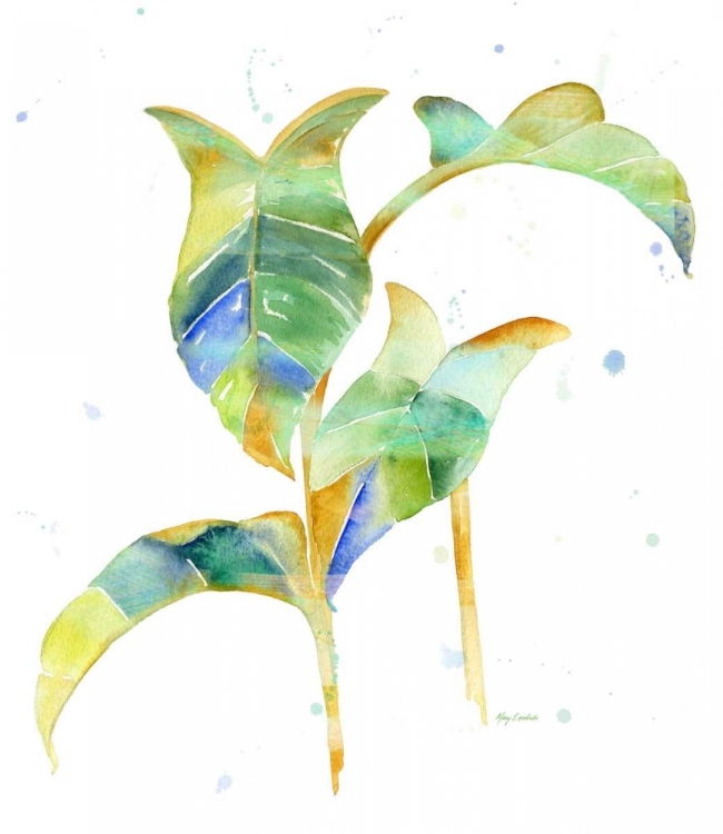 Picture of WATERCOLOUR TROPICAL 4