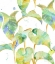 Picture of WATERCOLOUR TROPICAL PATTERN 2