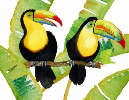 Picture of TROPCIAL TOUCAN PAIR