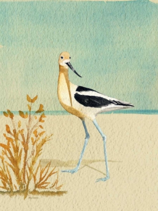 Picture of AVOCET BY THE SEA
