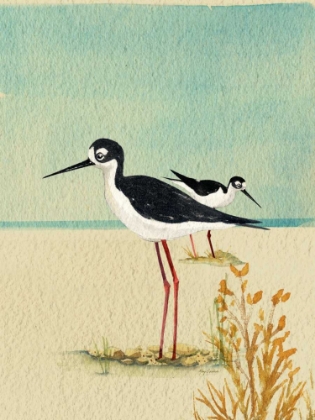 Picture of SEABIRDS BY THE SEA