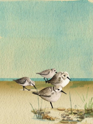 Picture of SANDPIPERS BY THE SEA