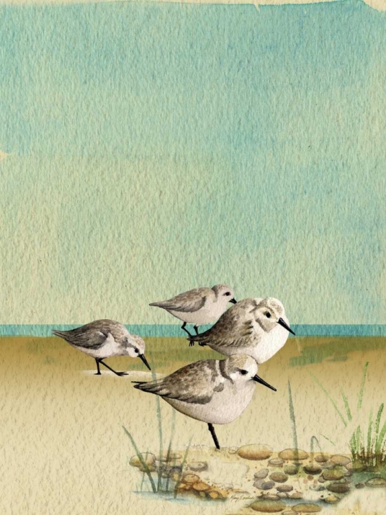 Picture of SANDPIPERS BY THE SEA