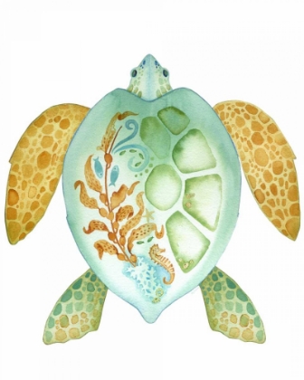 Picture of TROPICAL SEA TURTLE 1