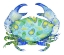 Picture of BEACH FUN CRAB