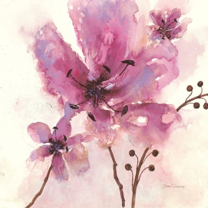 Picture of IN BLOOM 1