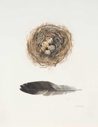 Picture of FIELD STUDY NEST