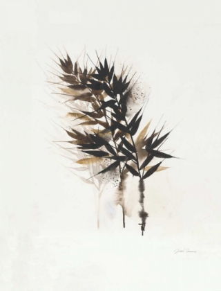 Picture of FIELD STUDY GRASSES