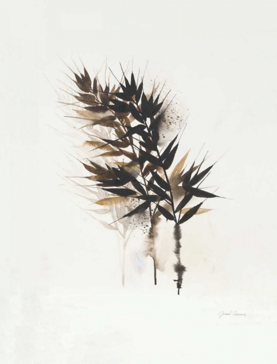 Picture of FIELD STUDY GRASSES