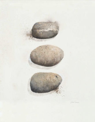 Picture of FIELD STUDY STONE 