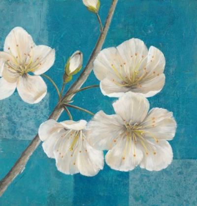 Picture of BLOSSOM BOUGH                           