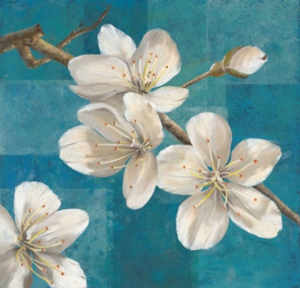 Picture of BLOSSOM BRANCH                          