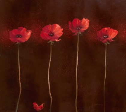 Picture of POPPY FAMILY 1