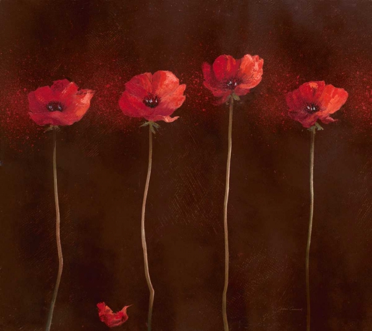 Picture of POPPY FAMILY 1