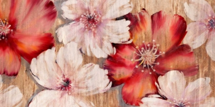 Picture of BARNWOOD BLOSSOMS