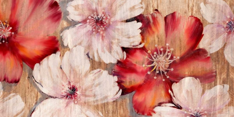 Picture of BARNWOOD BLOSSOMS