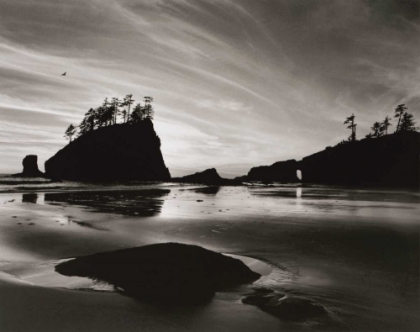Picture of LOW TIDE MORNING