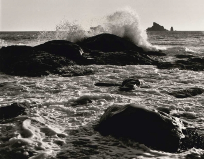 Picture of ROAR OF THE OCEAN