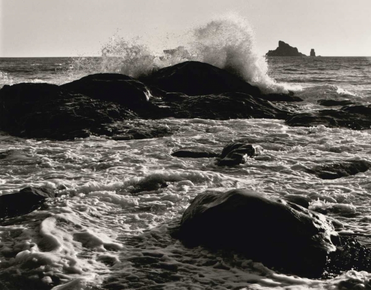 Picture of ROAR OF THE OCEAN