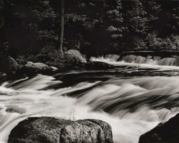 Picture of RUSHING WATERS