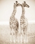 Picture of SPIRIT OF LIFE 1