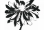 Picture of ARDENT BLOOM