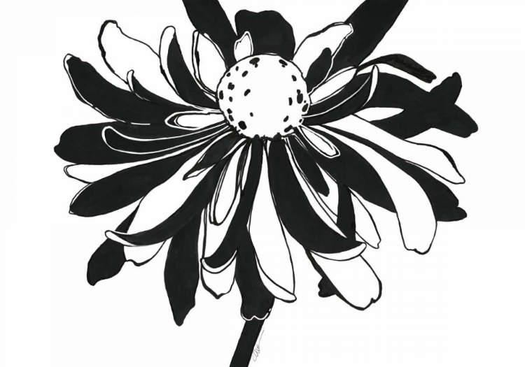 Picture of ARDENT BLOOM