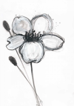 Picture of SNOW BLOSSOM 1
