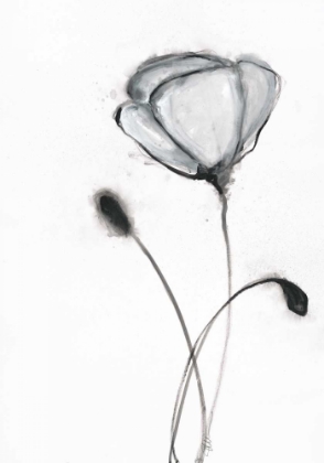 Picture of SNOW BLOSSOM 2