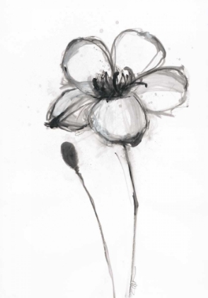 Picture of SNOW BLOSSOM 3
