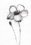 Picture of SNOW BLOSSOM 3