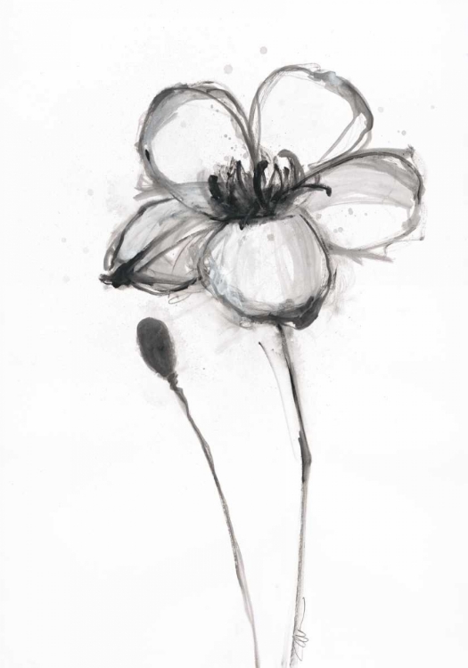 Picture of SNOW BLOSSOM 3