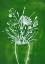 Picture of EMERALD BOUQUET