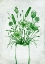 Picture of FRESH GREENERY FLORALS