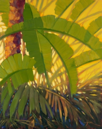 Picture of SUNSHINE TROPICS 2