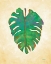 Picture of HAVANA PALM 1