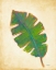 Picture of HAVANA PALM 4
