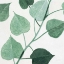Picture of GROVE DETAIL 1