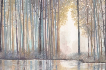 Picture of FOREST REFLECTIONS 
